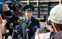 Сезон свежих фруктов и ягод открыт