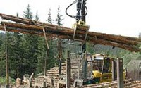 Группа компаний Вологодские лесопромышленники приобрела платформы для перевозки леса