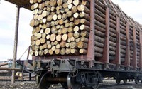 ПГК нарастила объем перевозок лесных грузов на полигоне Северной железной дороги