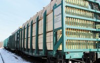 Перевозка лесных грузов в контейнерах по сети РЖД в январе-июне 2017 г. увеличилась на 31,5%, до 130,5 тыс. TEU