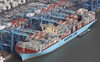 Арбитраж утвердил мировое соглашение пяти контейнерных операторов с ФАС России