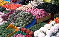 Воронежские логисты надеются на скорую отмену «запрета» на ввоз овощей и фруктов через региональную таможню