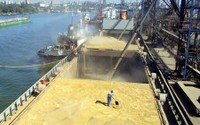 Владивостокский морской торговый порт (ВМТП) завершил сезонные отправки приморского зерна на экспорт