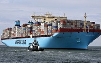 Власти Камчатки планируют привлечь для перевозок Maersk Line