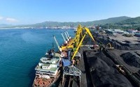 Австралийская Tigers Realm Coal модернизирует морской порт на Чукотке