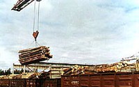 АО «ФГК» - лидер в сегменте перевозок леса в крытых вагонах на ВСЖД