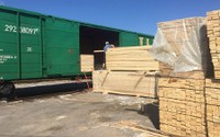 АО «ФГК» в 2 раза увеличило объем перевозок лесных грузов